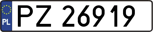 PZ26919