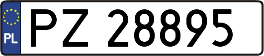 PZ28895