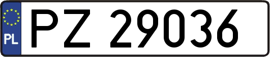 PZ29036