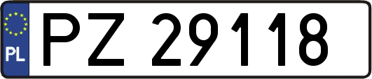 PZ29118