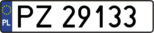 PZ29133