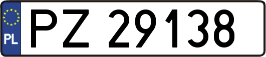 PZ29138