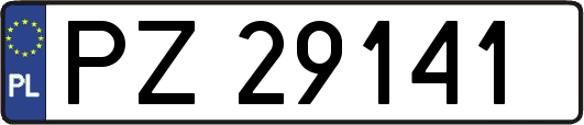 PZ29141