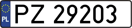 PZ29203