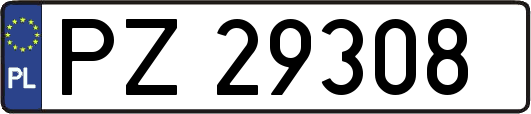 PZ29308