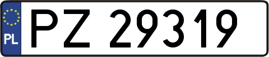 PZ29319