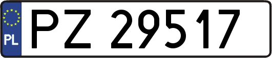 PZ29517