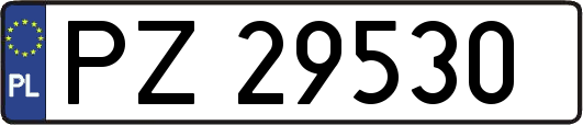 PZ29530
