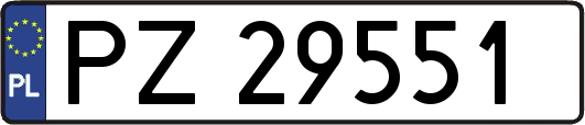 PZ29551