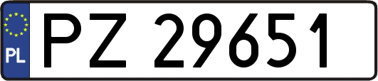 PZ29651