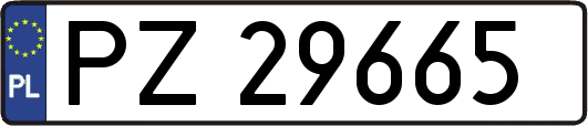 PZ29665