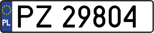 PZ29804