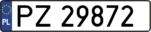PZ29872