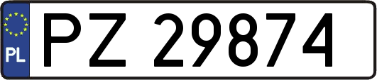 PZ29874