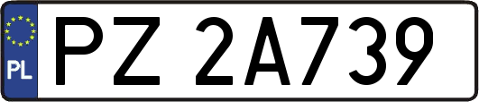 PZ2A739