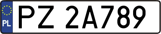 PZ2A789