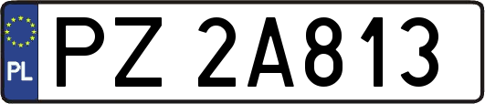 PZ2A813