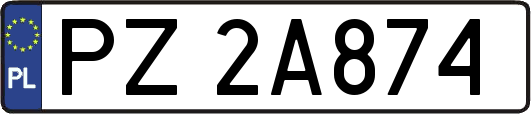 PZ2A874