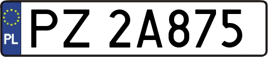 PZ2A875