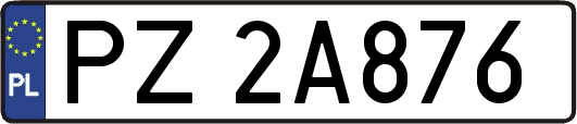 PZ2A876