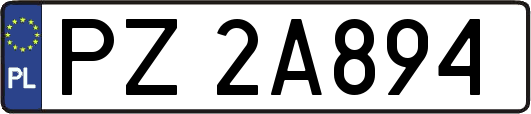 PZ2A894