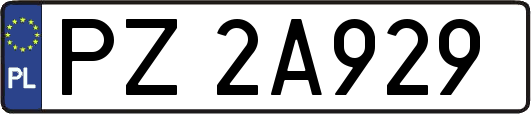 PZ2A929