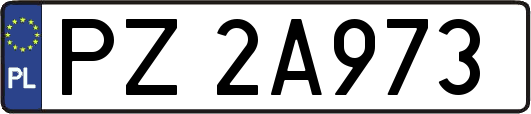 PZ2A973
