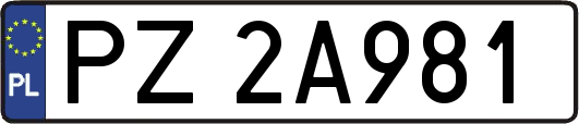 PZ2A981