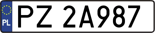 PZ2A987