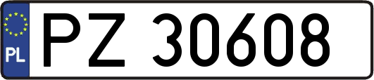 PZ30608
