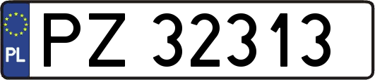 PZ32313