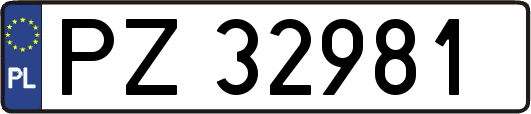 PZ32981