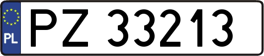 PZ33213