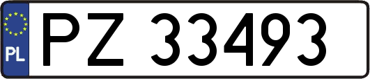 PZ33493