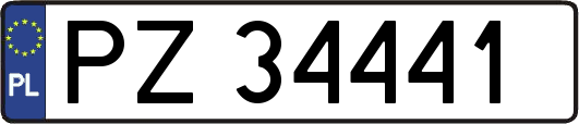 PZ34441