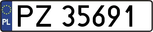 PZ35691