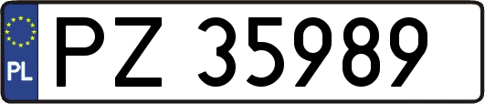PZ35989
