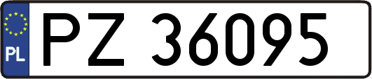 PZ36095