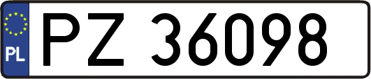PZ36098