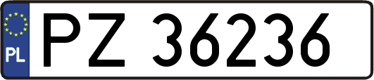 PZ36236