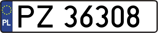 PZ36308