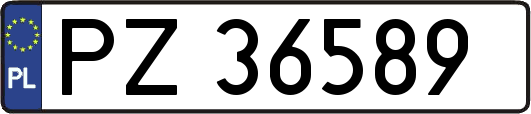 PZ36589