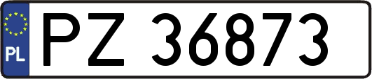 PZ36873