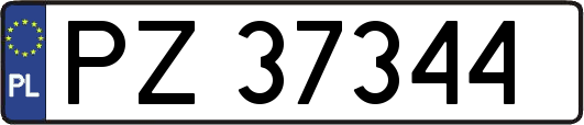 PZ37344