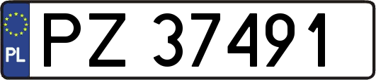 PZ37491