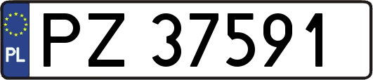 PZ37591