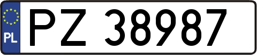PZ38987