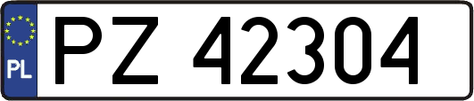 PZ42304