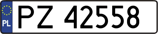 PZ42558