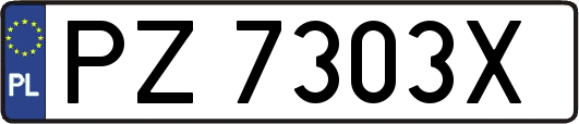 PZ7303X